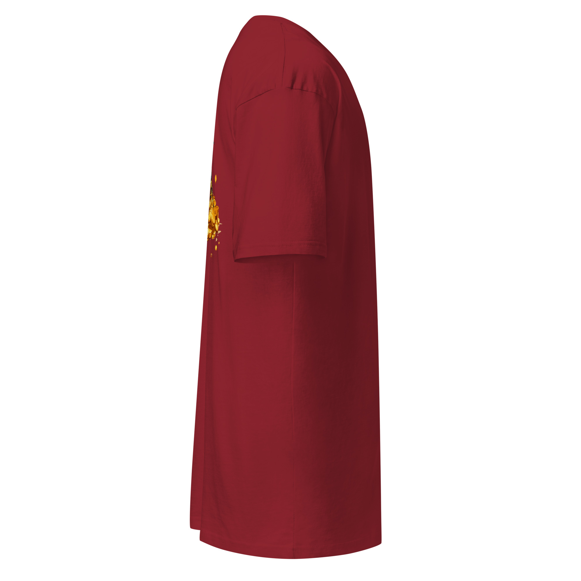 Men’s premium heavyweight Bounty PLZ tee - Image 9